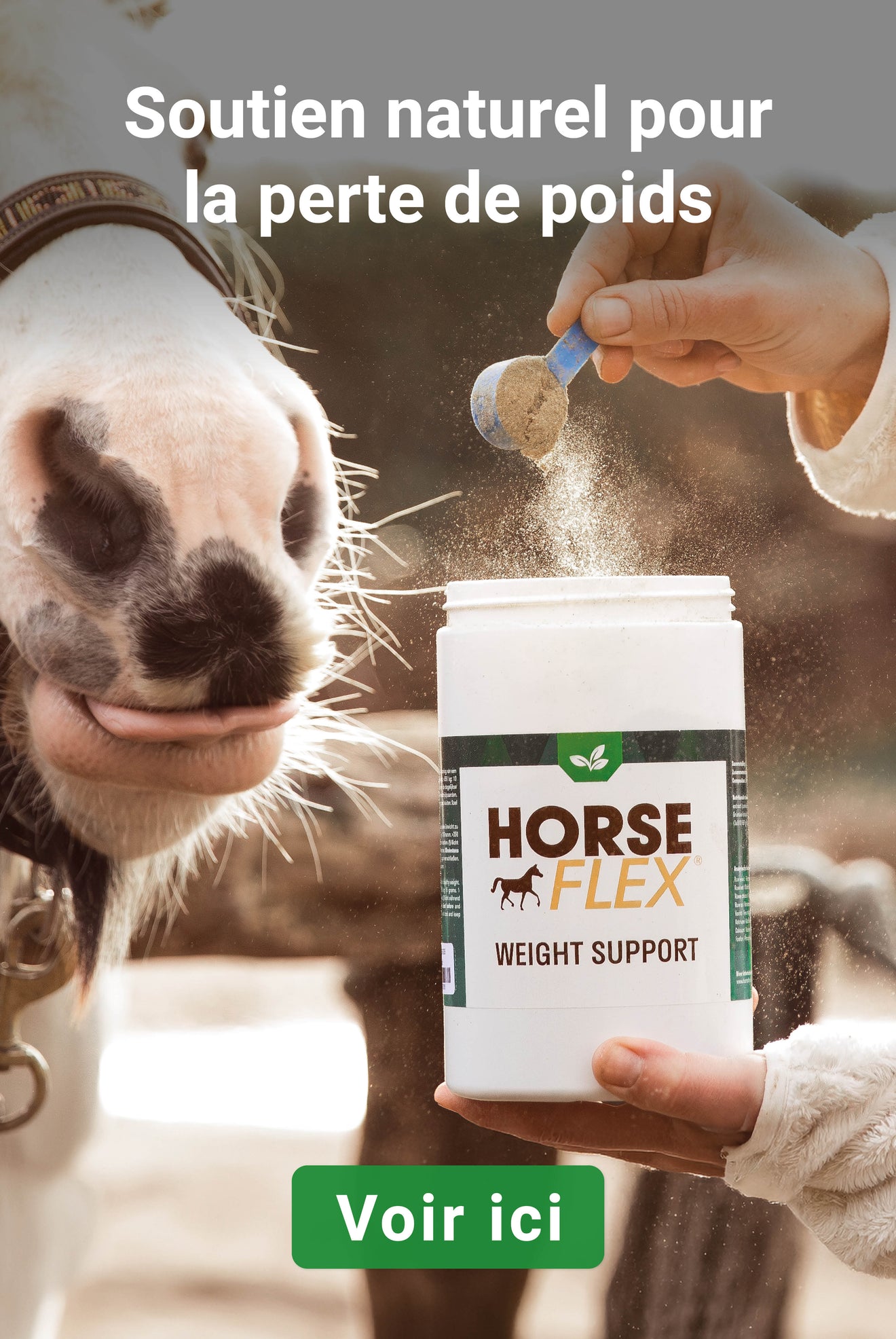 WeightSupport HorseFlex