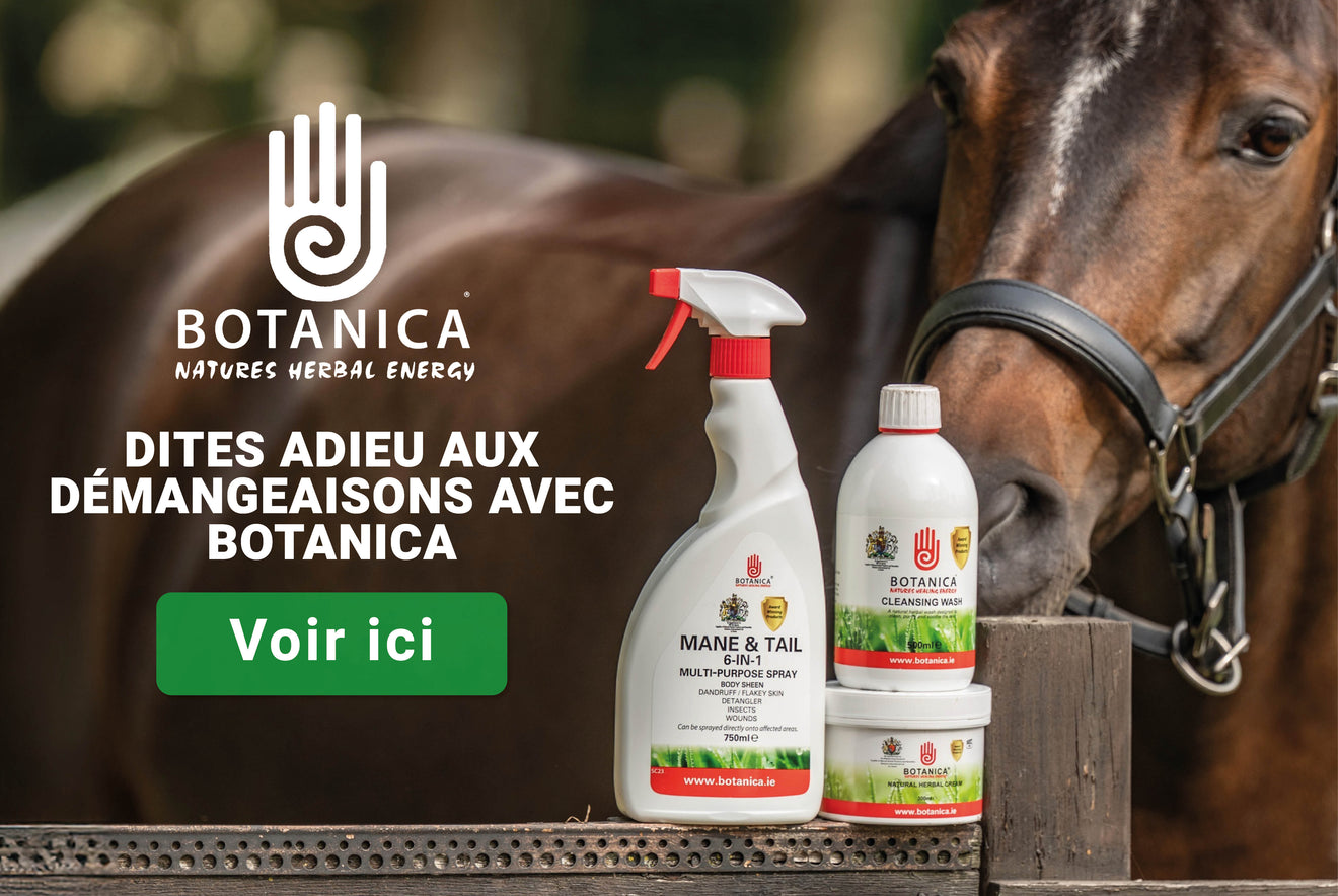 Botanica Botanica