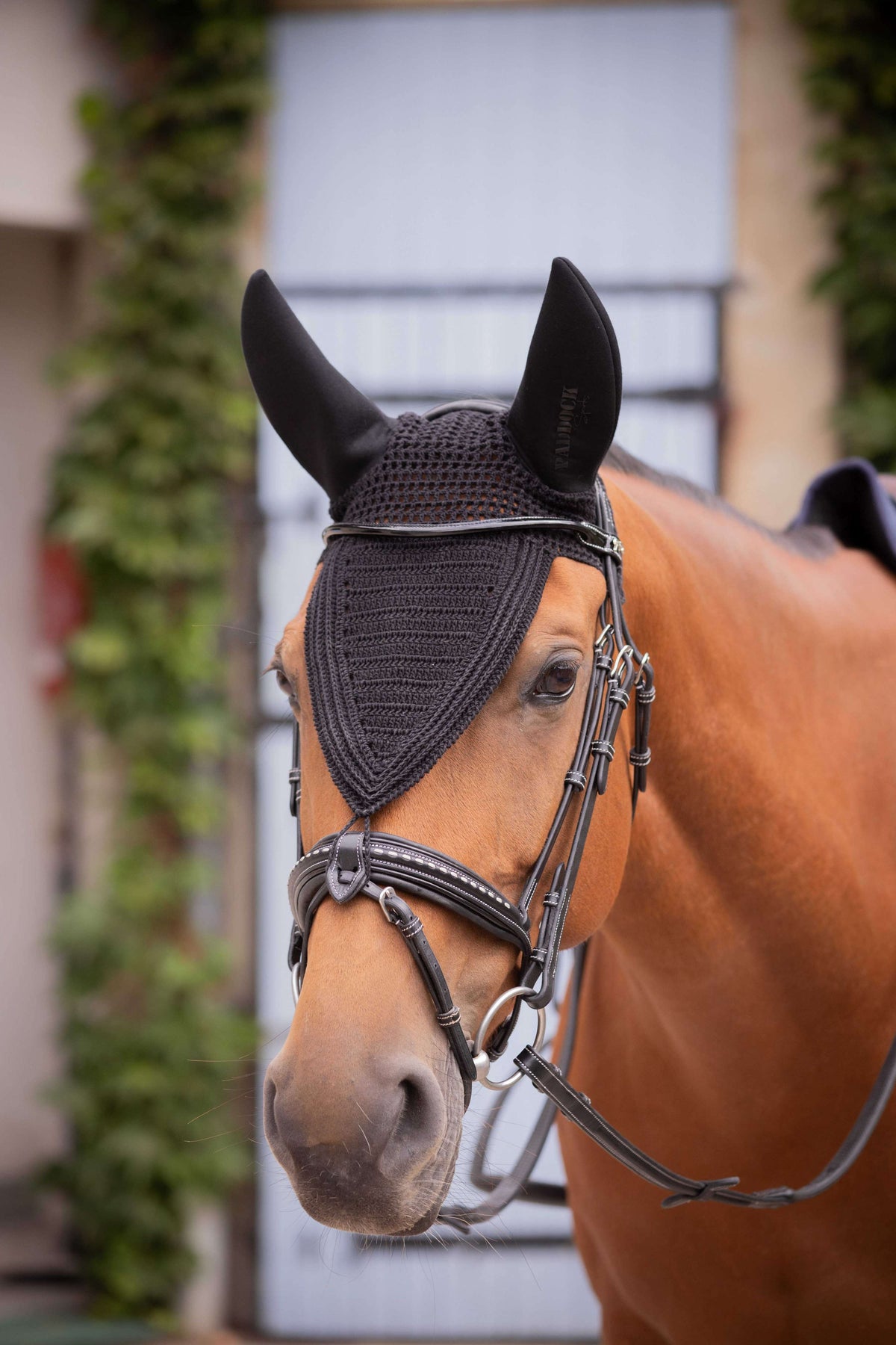 Paddock Bonnet Anti-Mouches Long Soundless Noir