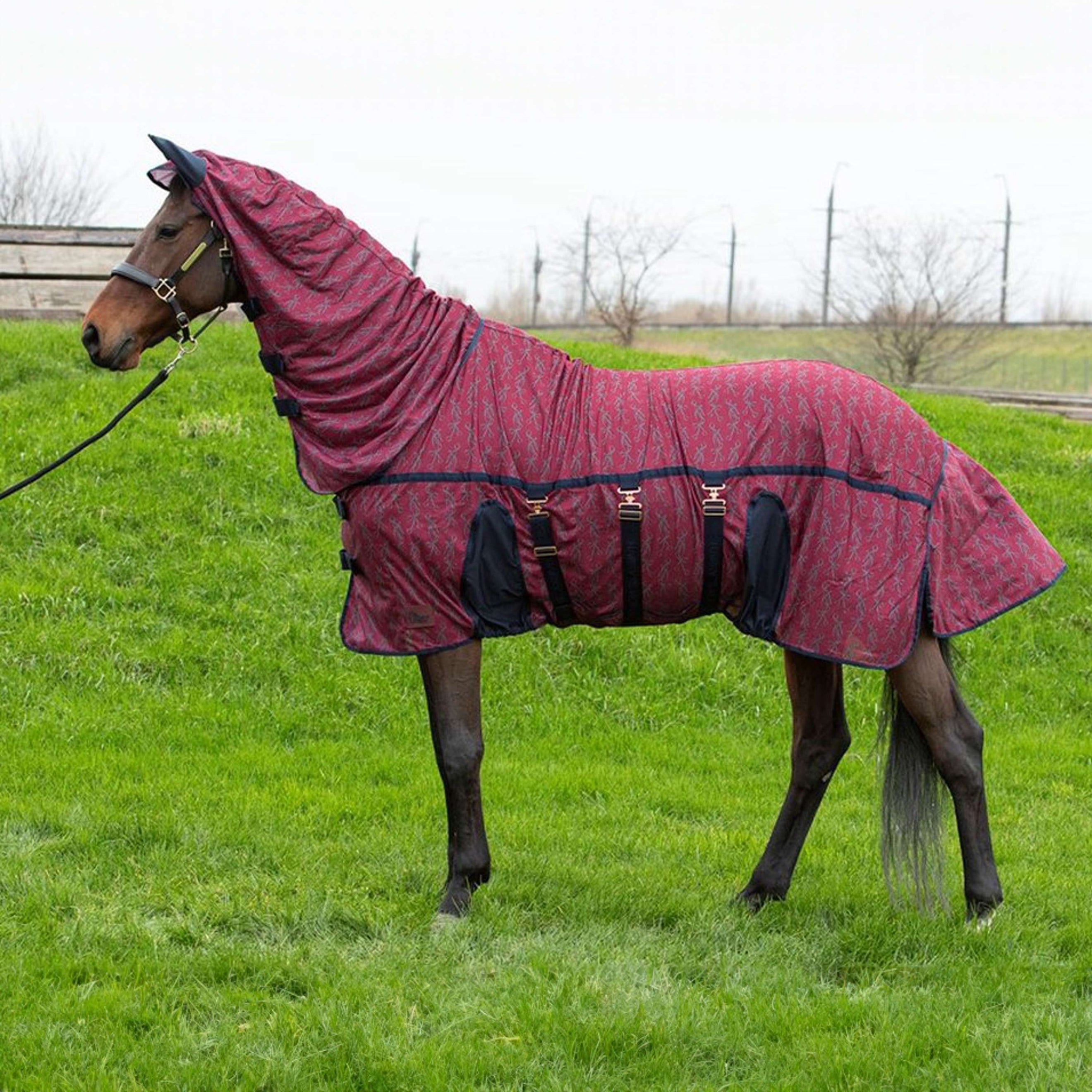 Harry's Horse Couverture Anti-Mouches Mesh Superior Bordeaux