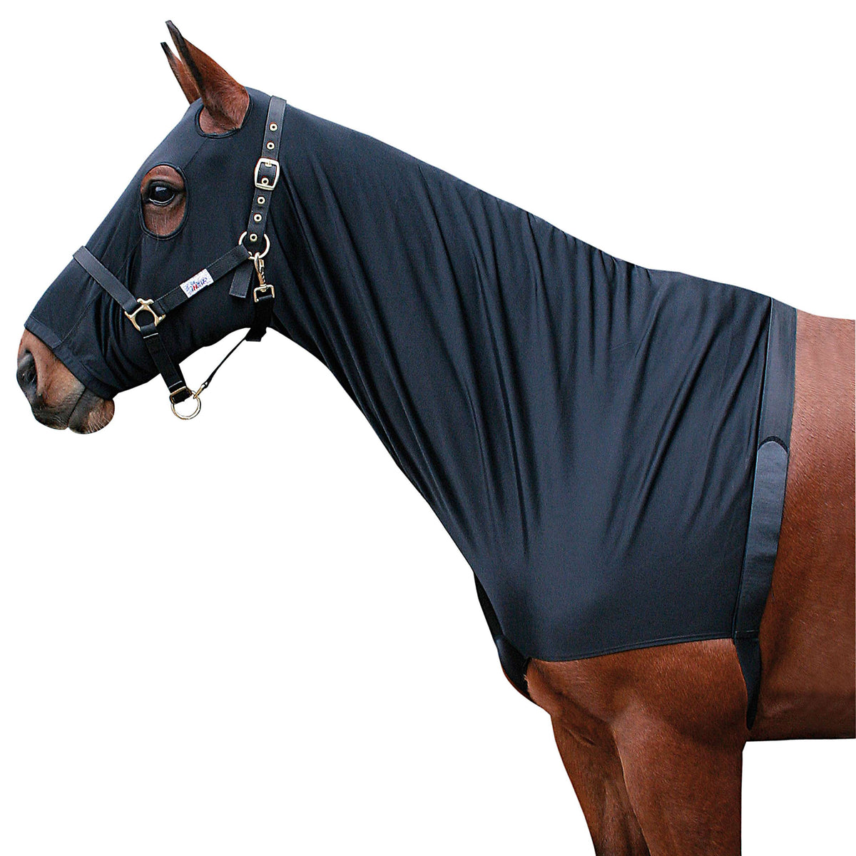 Harry's Horse Protection de Poitrail Lycra avec Capuche Noir