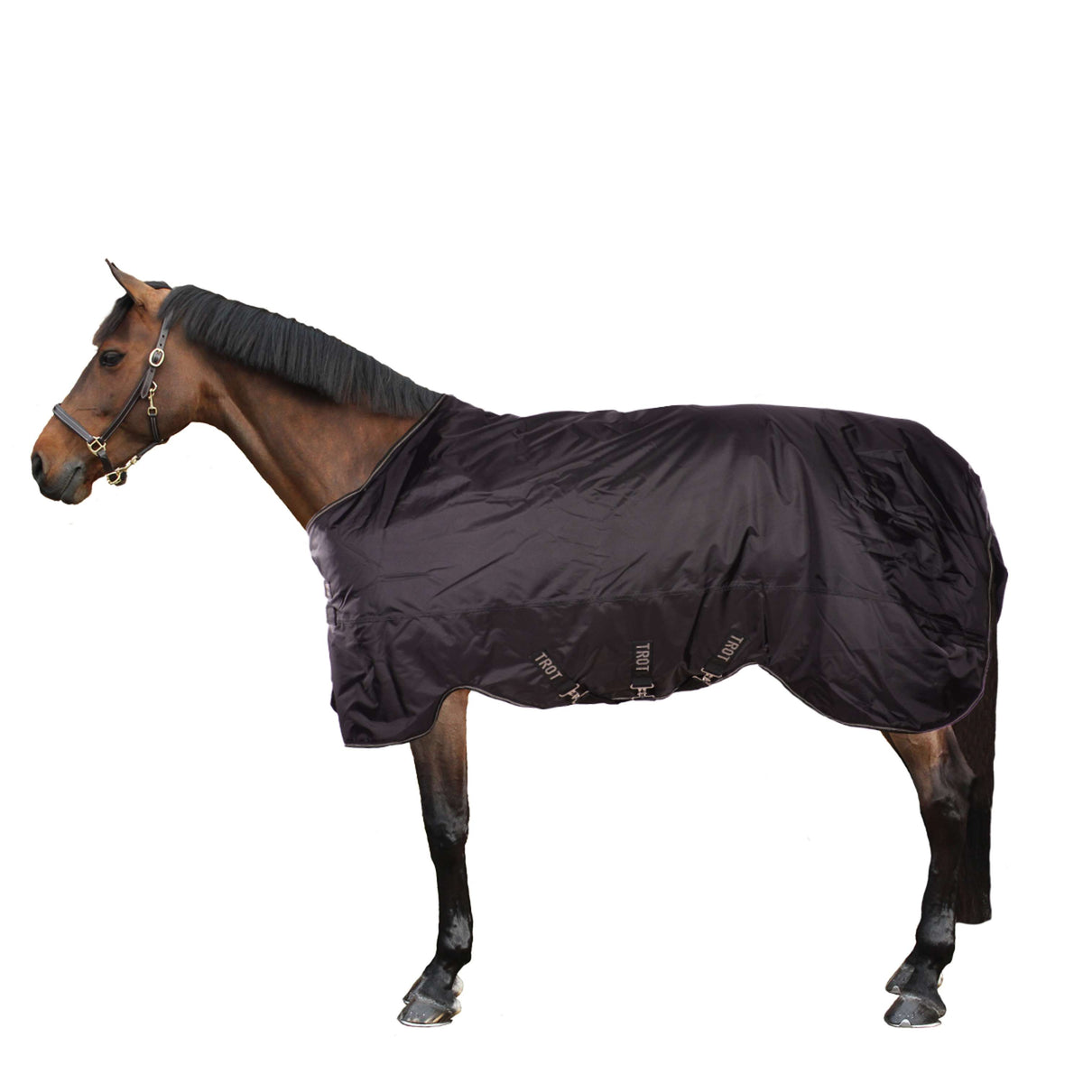 Horseware Trot Plus Heavy 350g Noir Tan