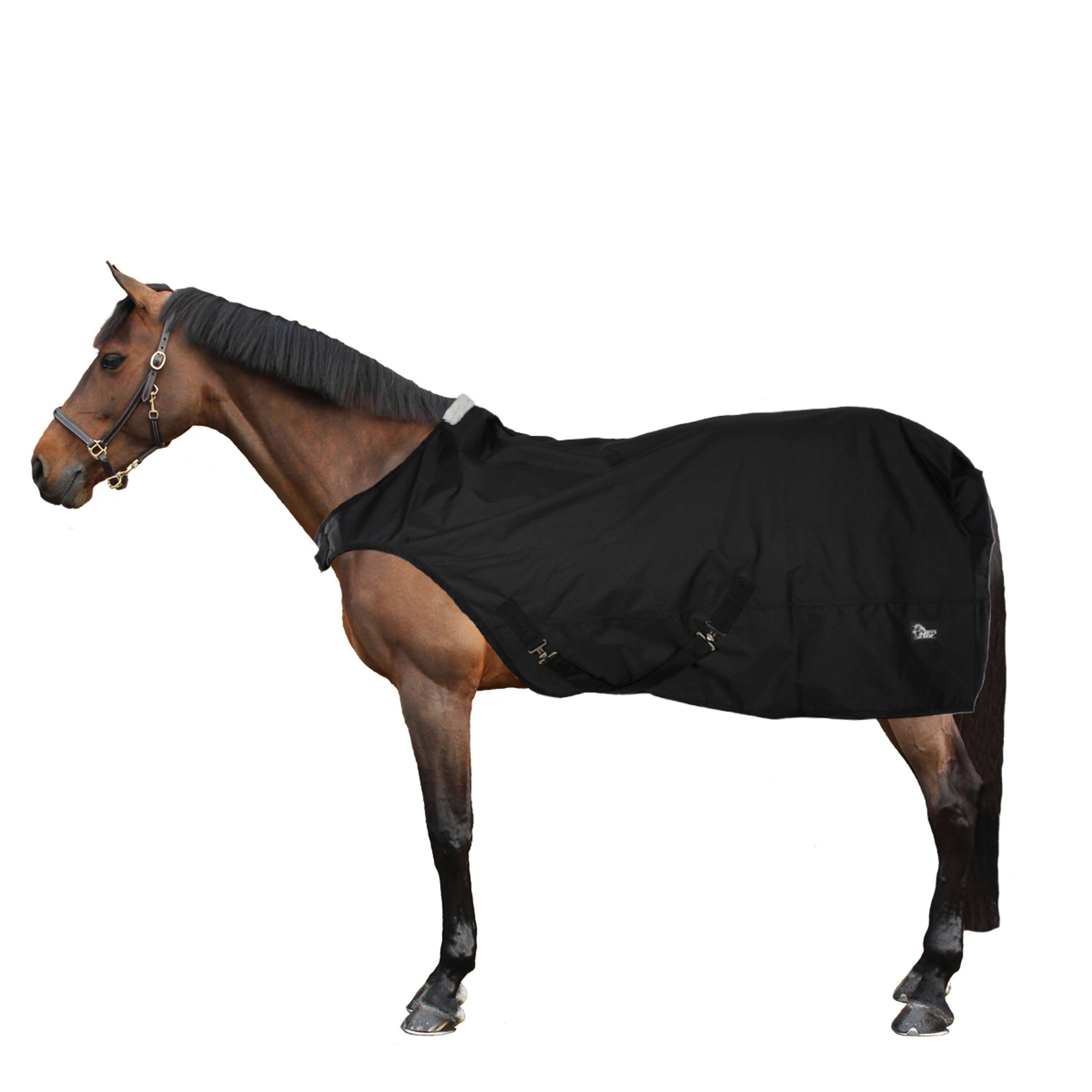 Harry's Horse Chemise de Marcheur WP 0g Noir