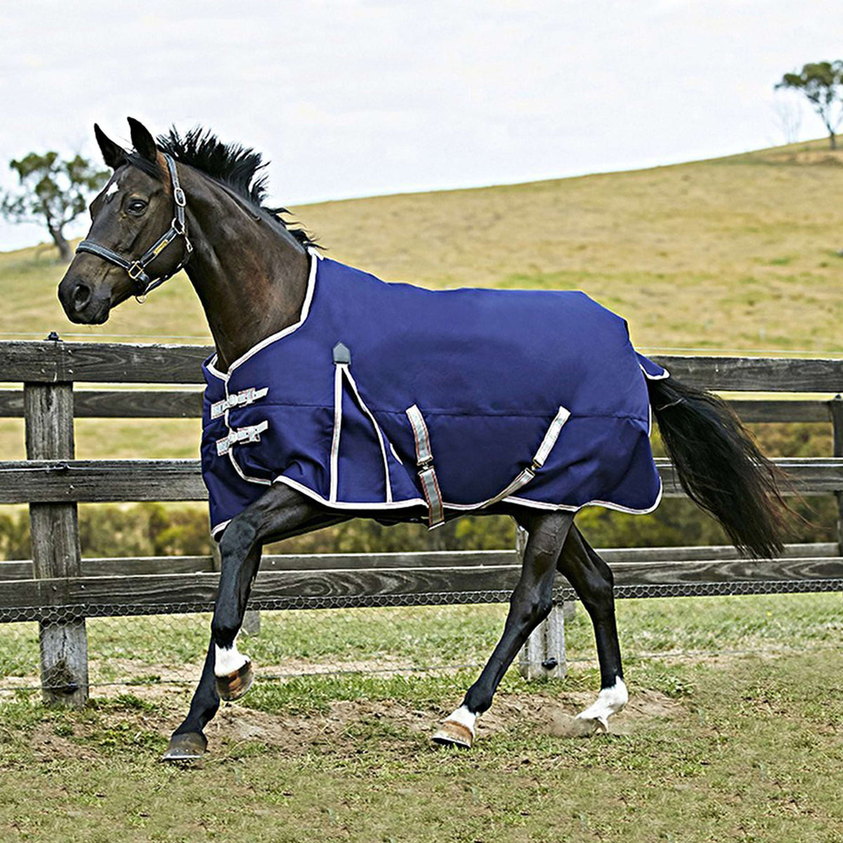 Weatherbeeta Lite Turnout Rug Comfitec Essential 0g Navy/Silver/Red