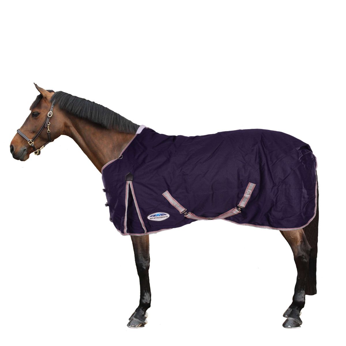 Weatherbeeta Medium Plus Turnout Rug Comfitec Essential Standard Neck 220g Navy/Silver/Red