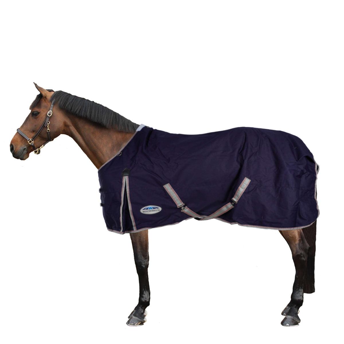 Weatherbeeta Lite Plus Turnout Rug Comfitec Essential Plus Support Cou 0g Navy/Silver/Red