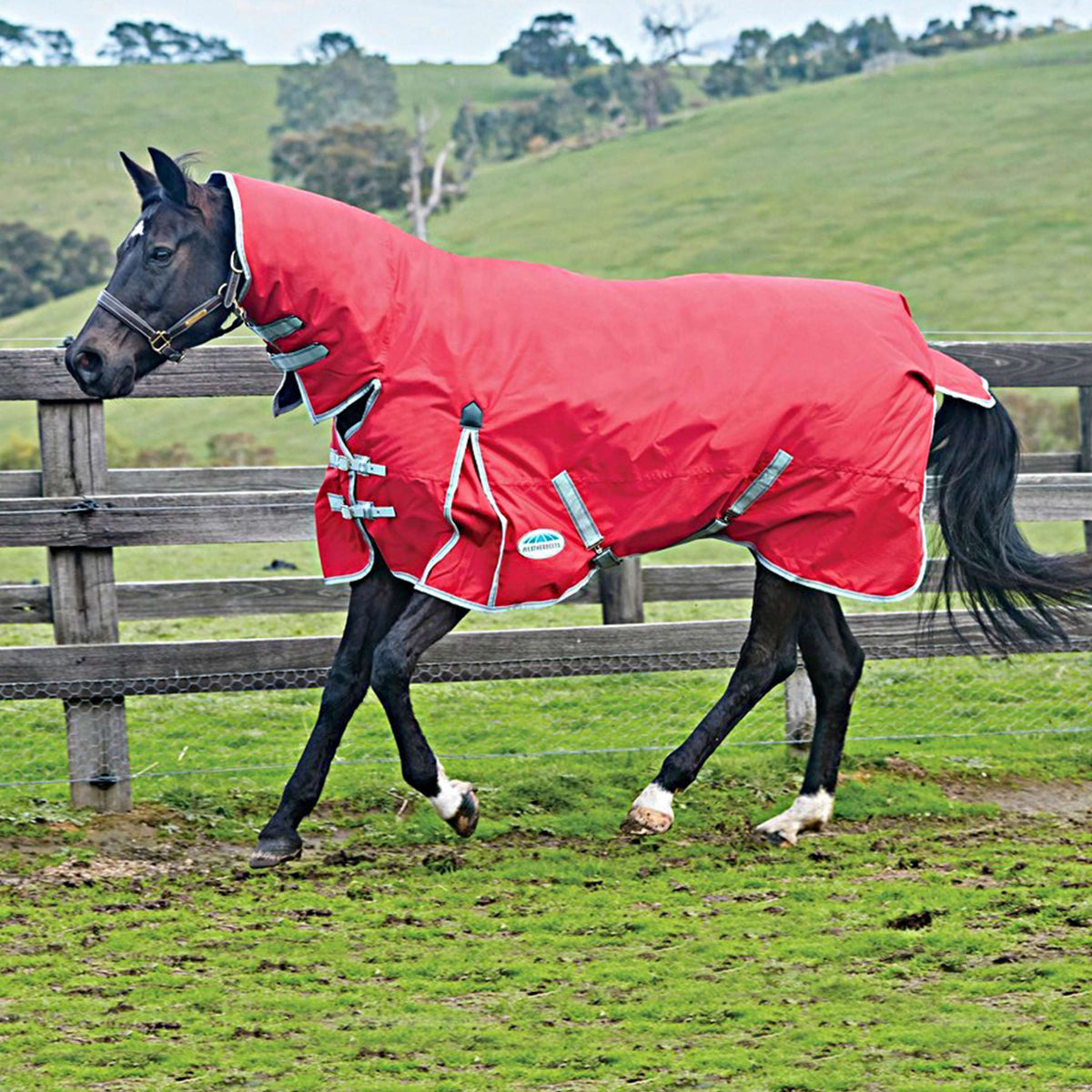 Weatherbeeta Combo Neck Medium Turnout Comfitec Classic Couverture 220g Red/Silver/Navy