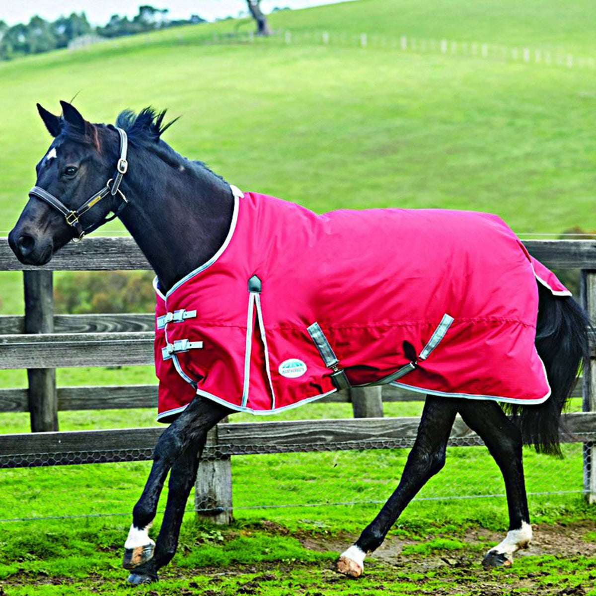 Weatherbeeta Lite Turnout Rug Comfitec Classic Support Cou 0g Red/Silver/Navy