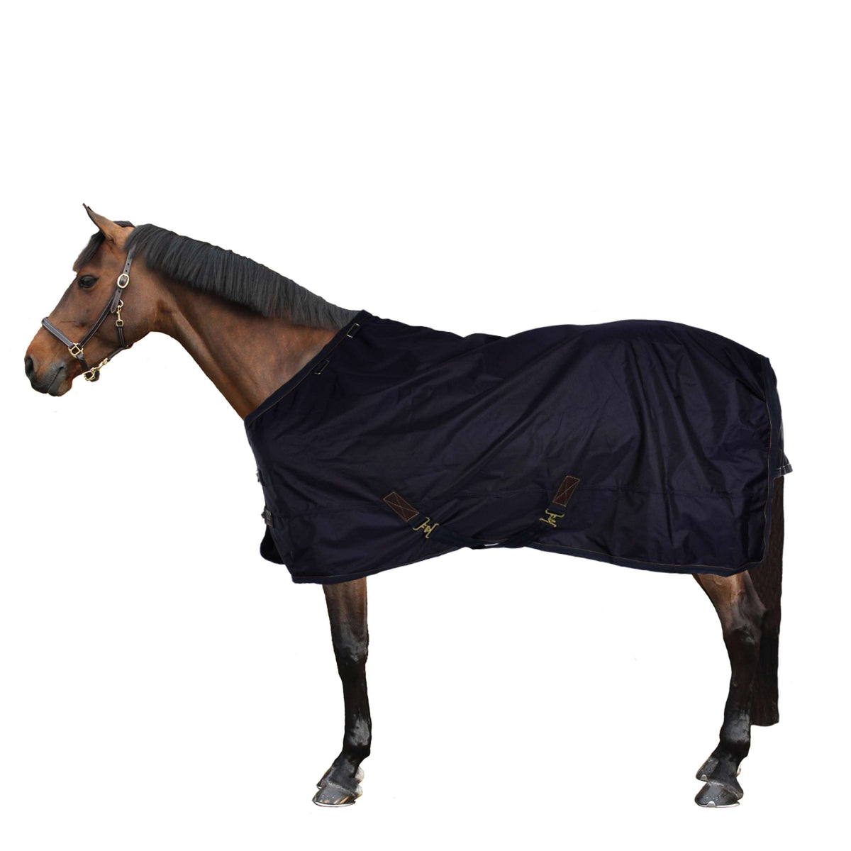 Kentucky Turnout Rug All Weather 300g Marin