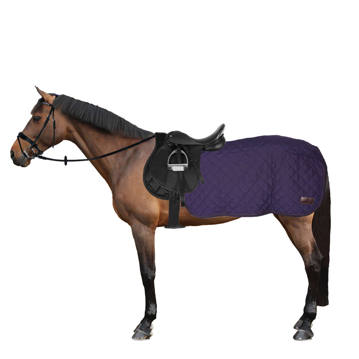 Kentucky Couvre-reins Carré 160g Marin