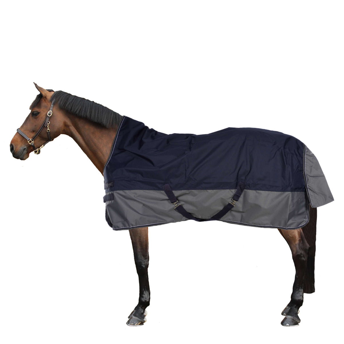 EQUITHÈME Turnout Rug Tyrex High Neck 600D 150g Marine/Gris Dots