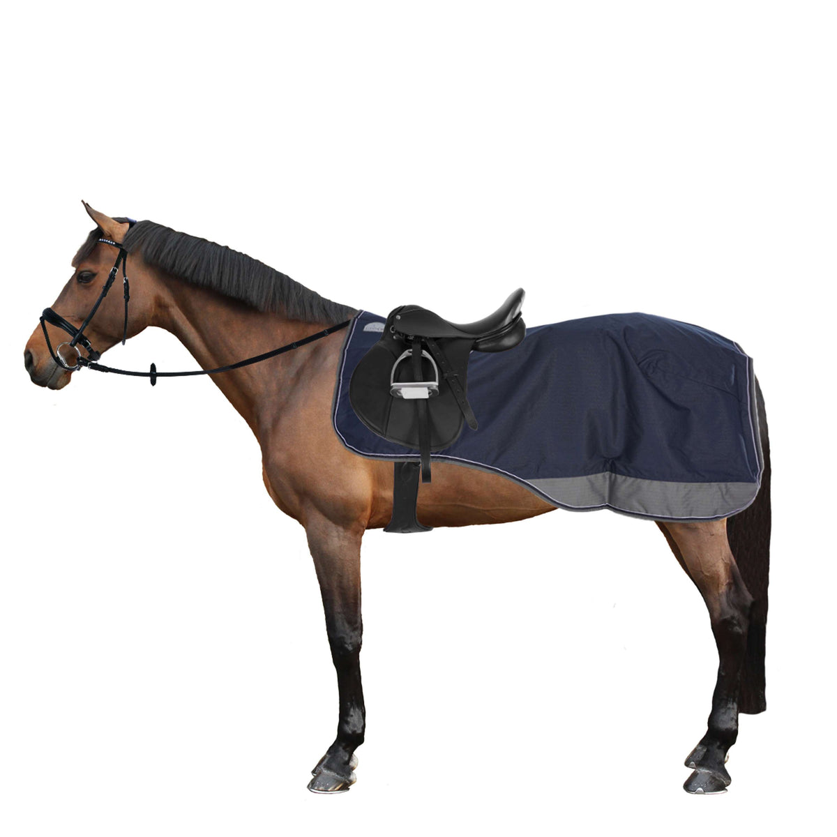 EQUITHÈME Couvre-reins Tyrex Polycotton 600D Noir/Bleu