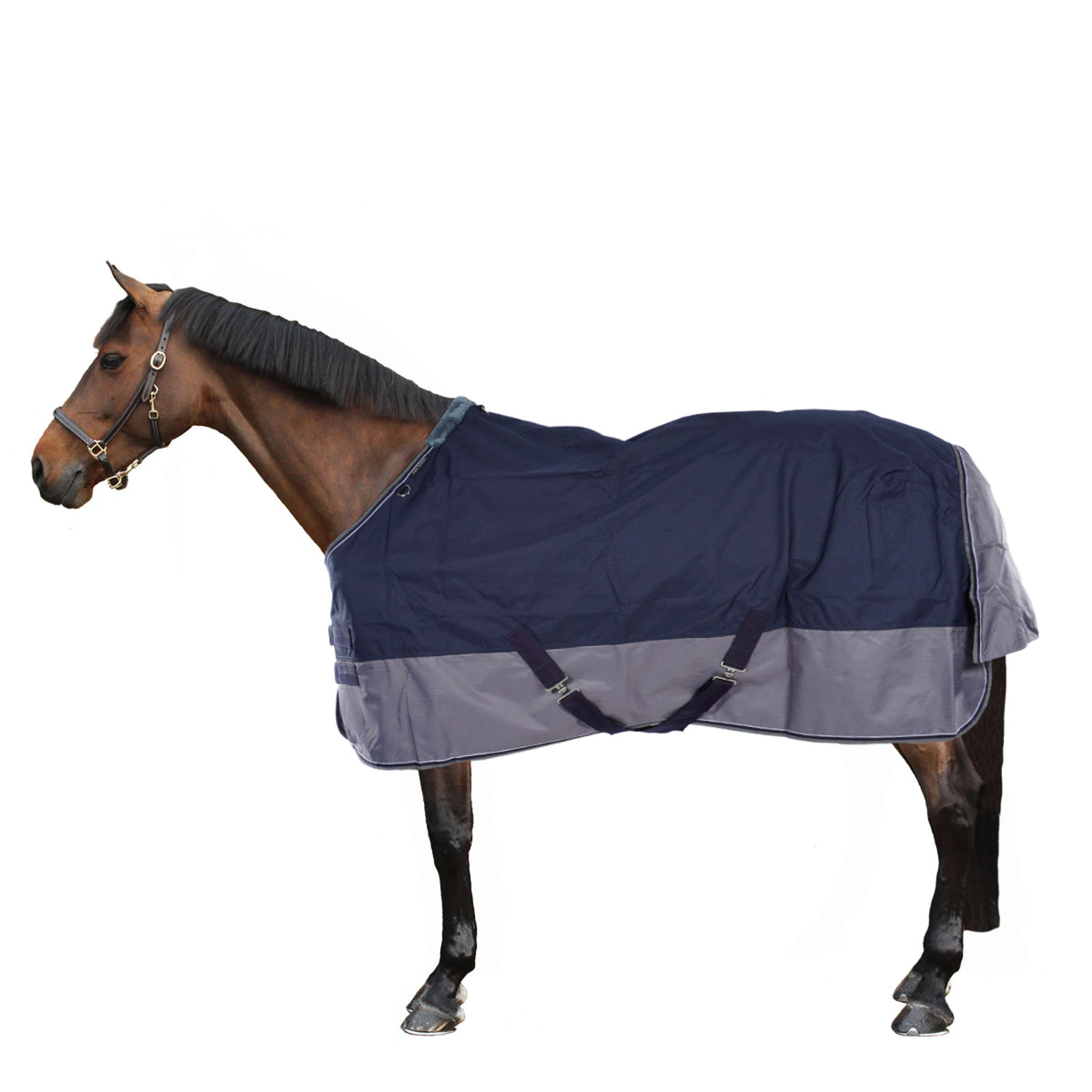 EQUITHÈME Turnout Rug Tyrex 600D 450g Marine/Gris Dots