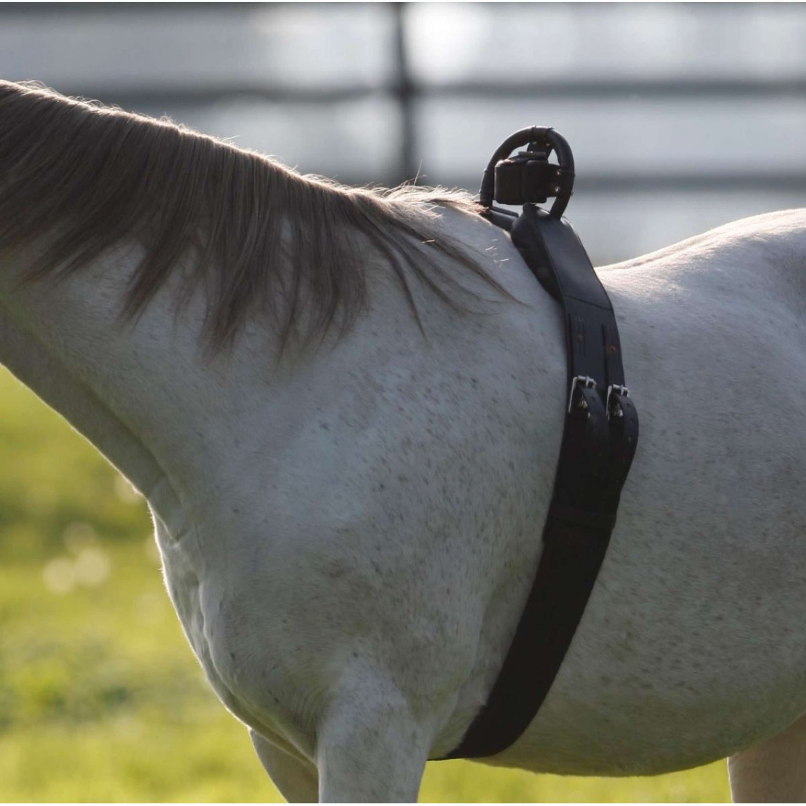 Birth Alarm Surfaix Complet Avec Sangle Standard Birth Alarm Surfaix Complet Avec Sangle Standard