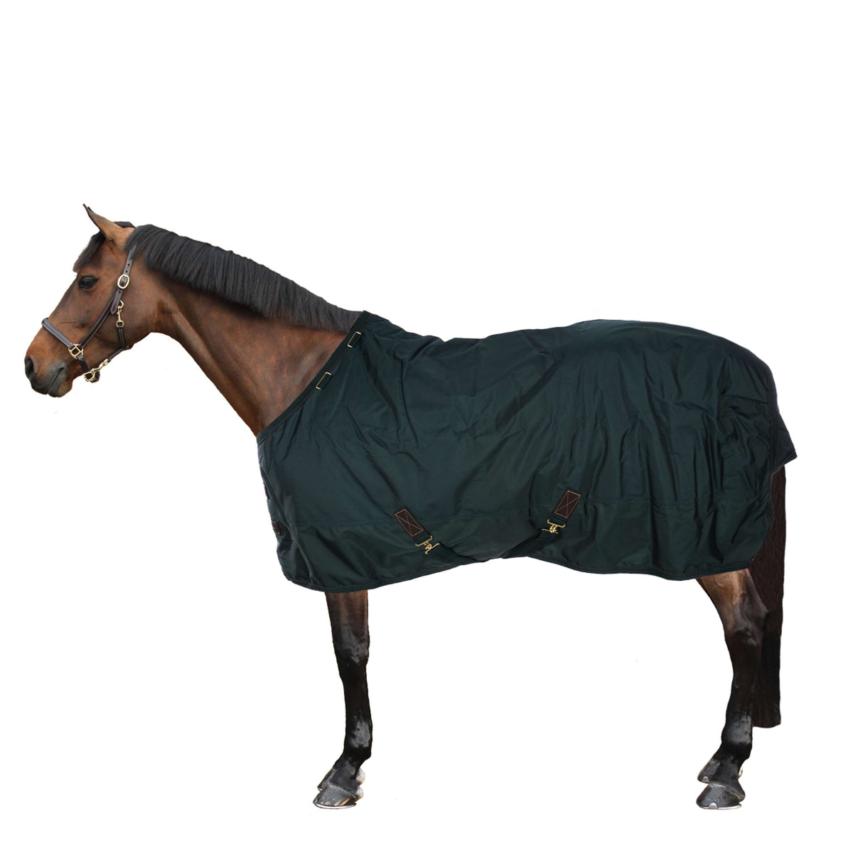 Kentucky Couverture Turnout All Weather 160g Vert Foncé