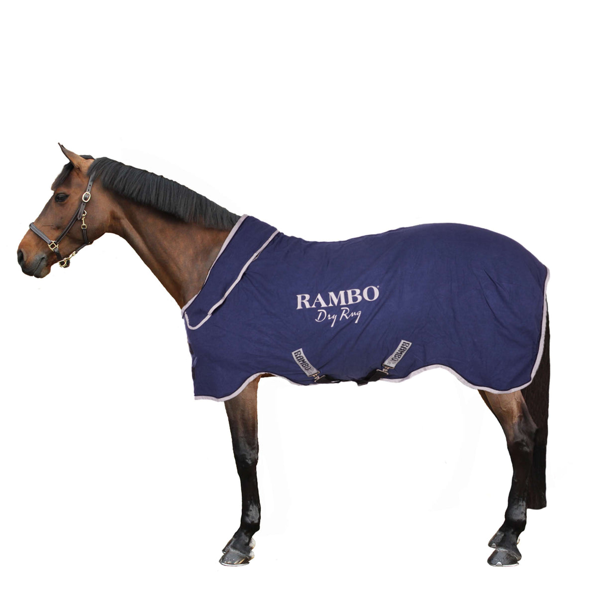 Rambo Dry Rug Supreme Marine/Argent