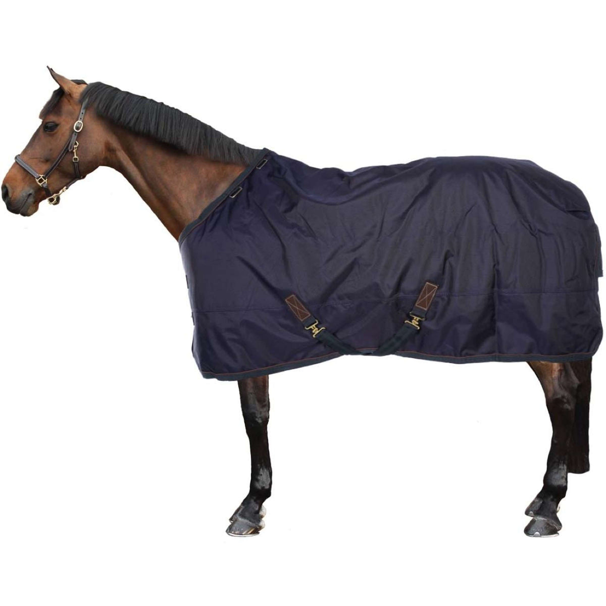 Kentucky Chemise Turnout All Weather 160g Marin