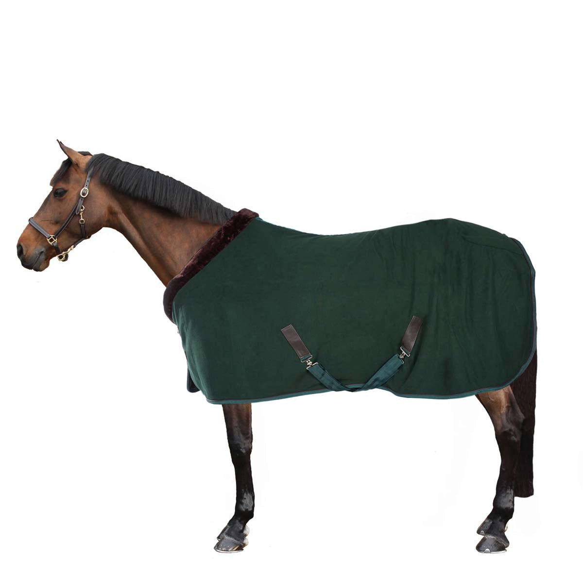 EQUITHÈME Couverture Polaire Teddy Vert/Marron