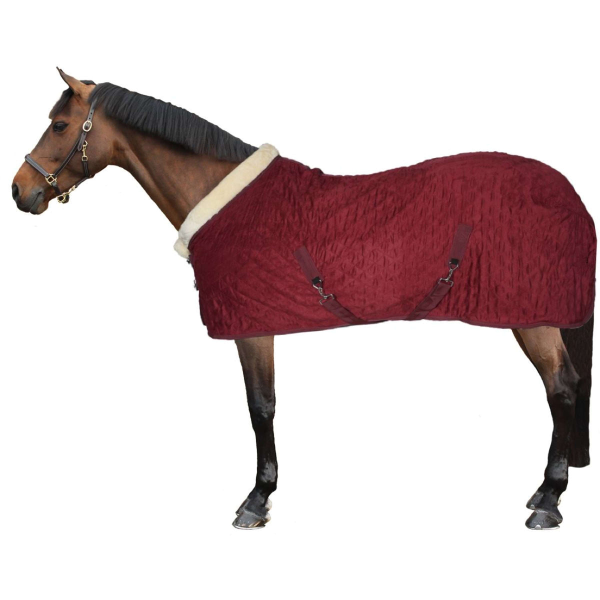 HB Ruitersport Couverture de Concours Showtime Velvet Spring Bordeaux