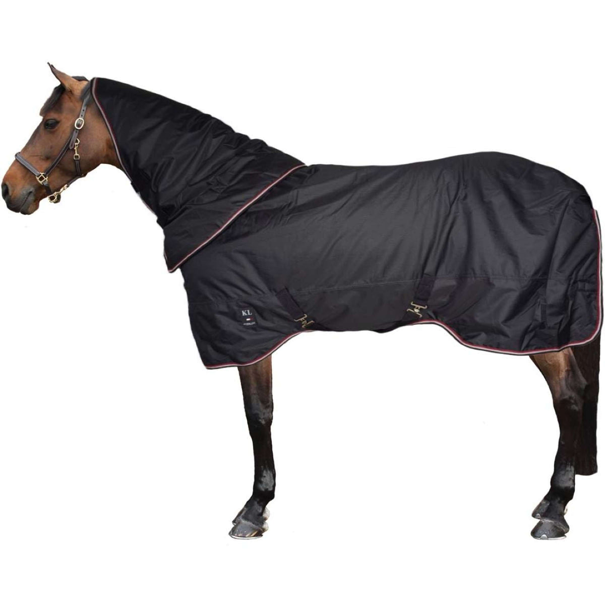 Kingsland Turnout Rug Primary 400g Marin