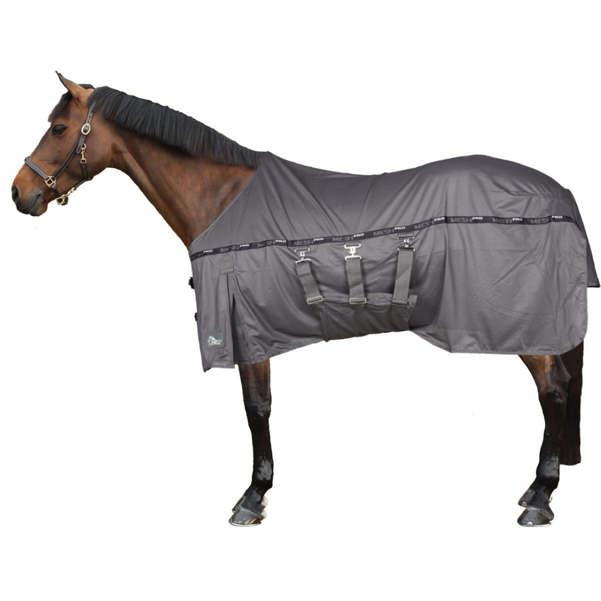 Couvertures anti-insectes pour votre cheval - Boutique Equus Couvertures anti-insectes pour votre cheval - Boutique Equus