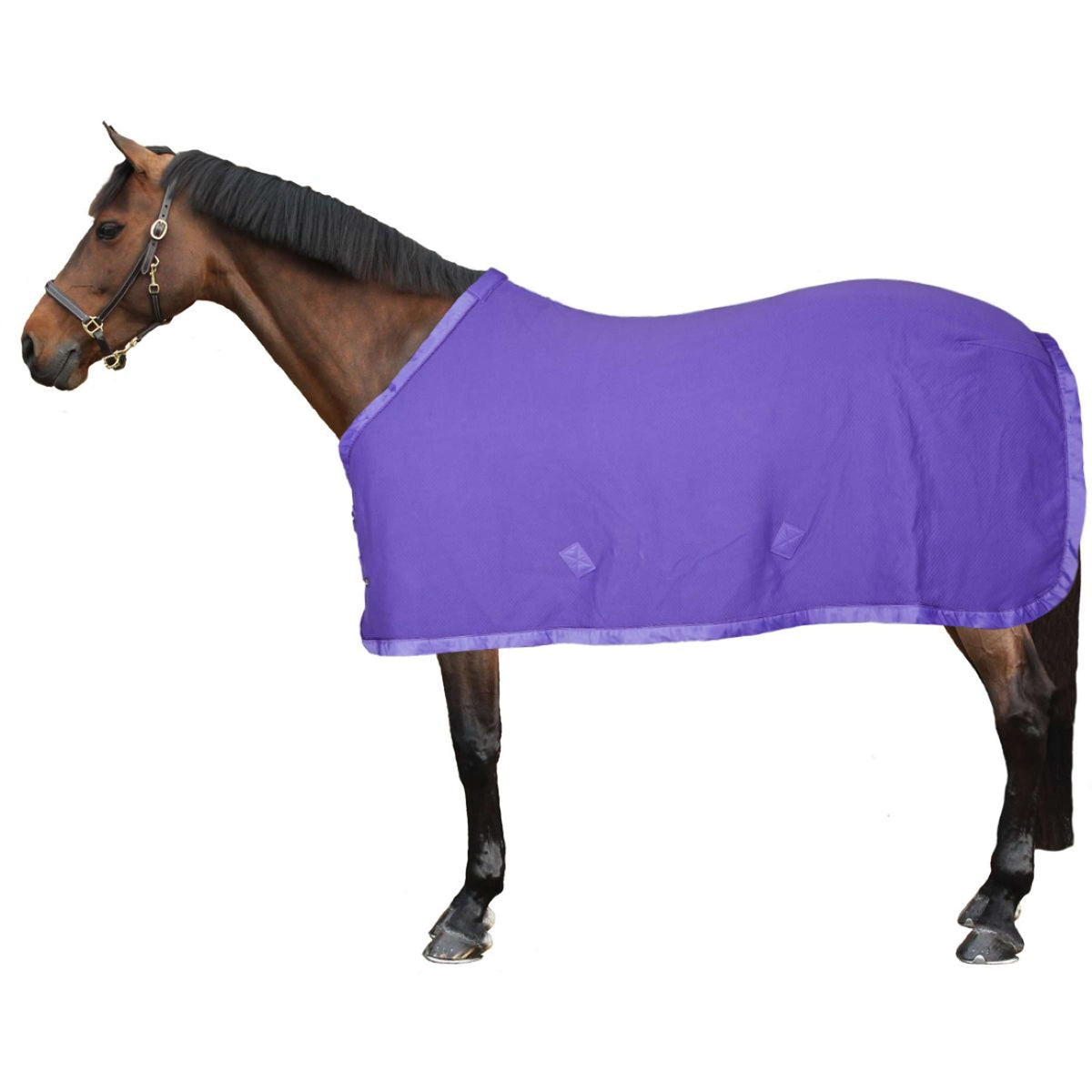 Eskadron Couvertures Anti-Transpiration Cotton Quilt Violet