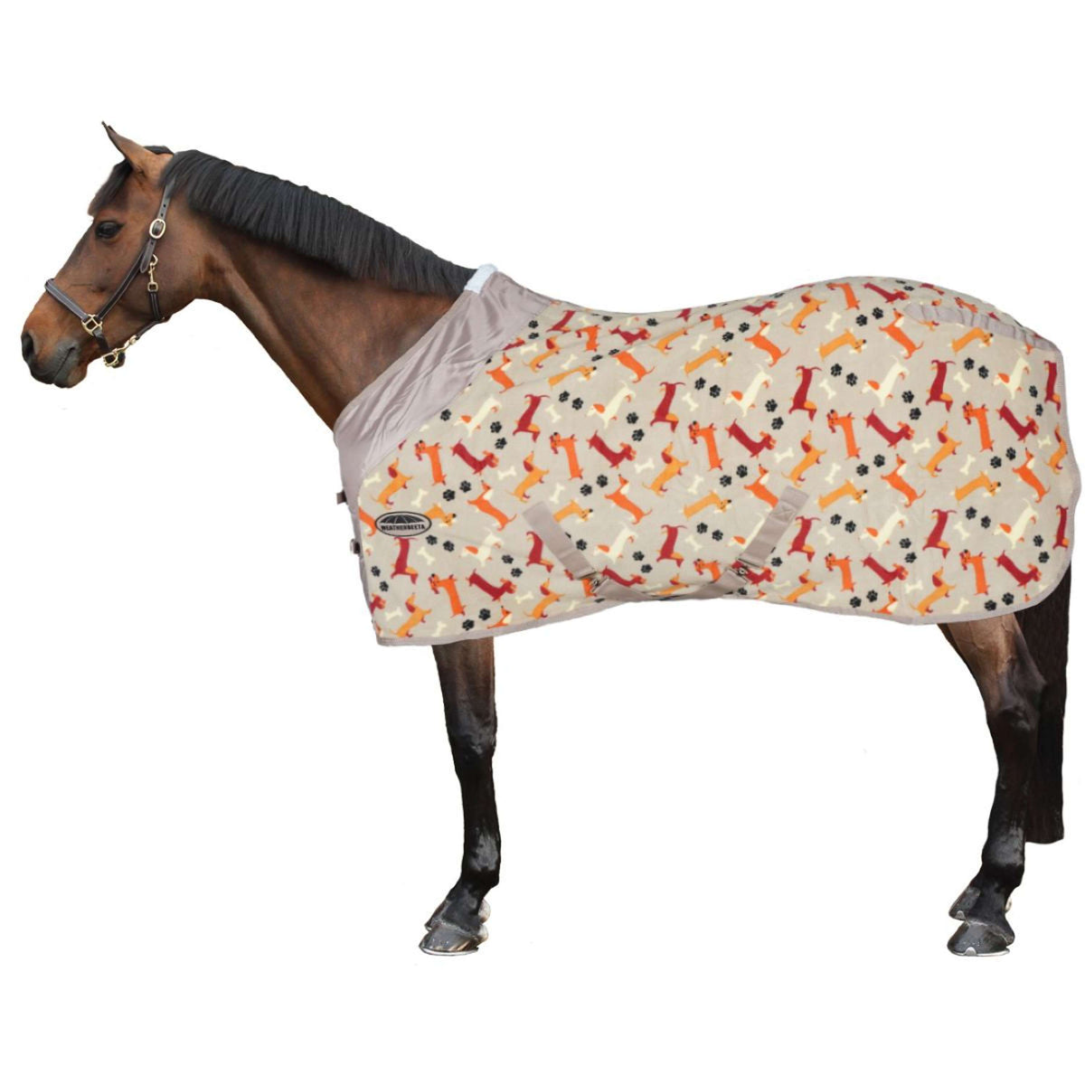 Weatherbeeta Couverture Polaire Cooler Standard Neck Dachshund Print