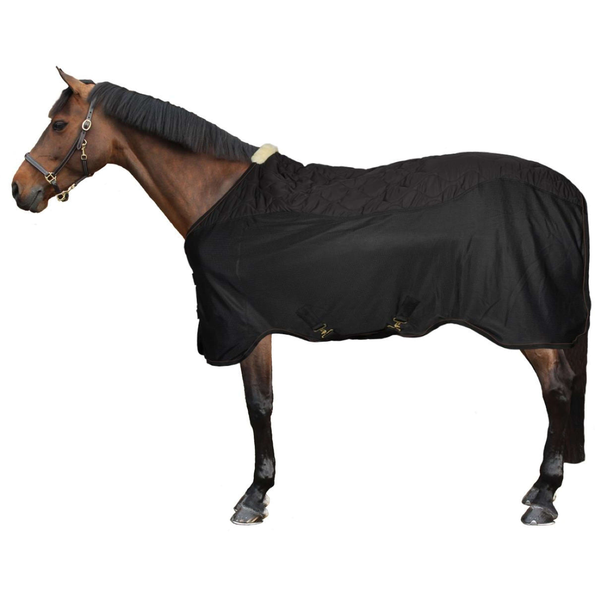 Kentucky Horsewear Couverture Transport Combo Noir