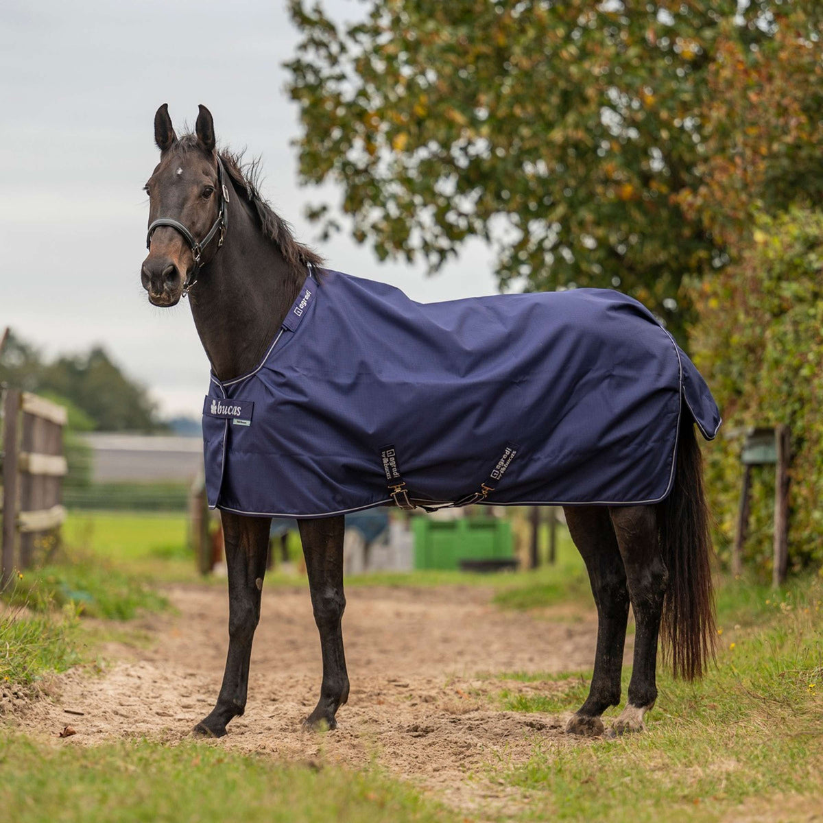 Agradi by Bucas Turnout Rug 100g Marine/Argent