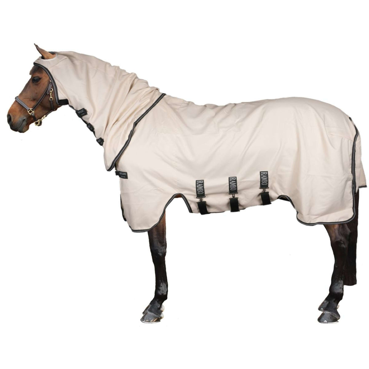 Rambo Pull col Hoodie Pony Craie/Vert chasseur/Argent