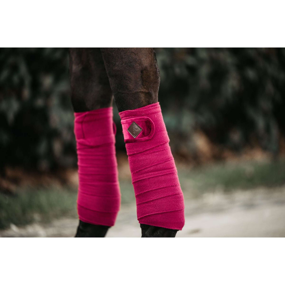 Kentucky Bandages Polaire Velours Fuchsia