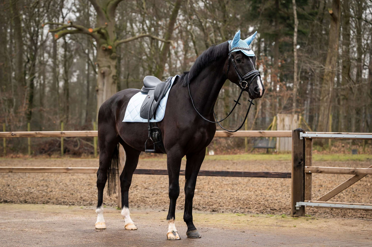 Showtime Tapis de Selle Spring Dressage Bleu clair