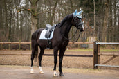 Showtime Tapis de Selle Spring Dressage Bleu clair