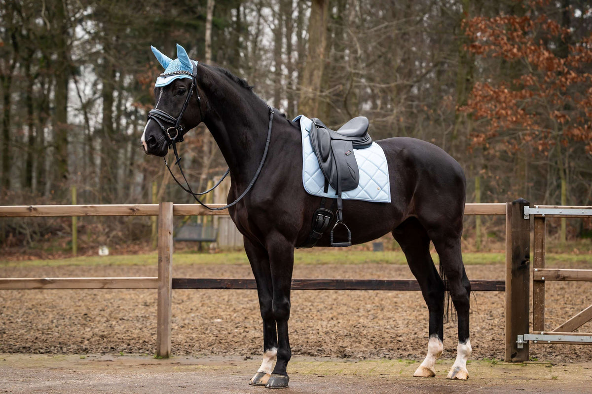 Showtime Tapis de Selle Spring Dressage Bleu clair