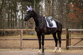 Showtime Tapis de Selle Spring Dressage Lilas