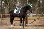 Showtime Tapis de Selle Spring Dressage Vert menthe