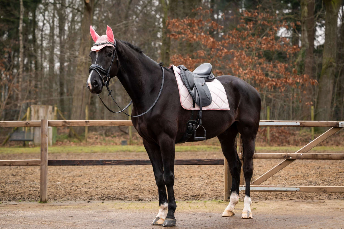 Showtime Tapis de Selle Spring Dressage Rose