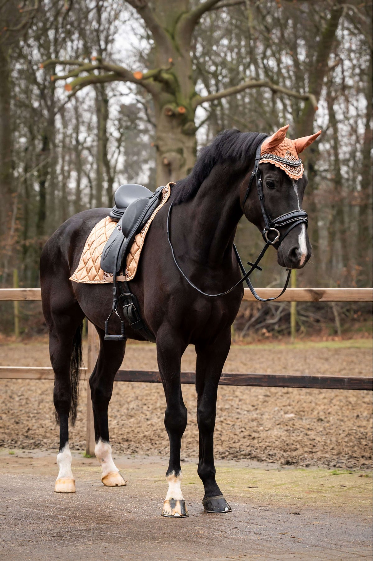 Showtime Tapis de Selle Rio Dressage Beige