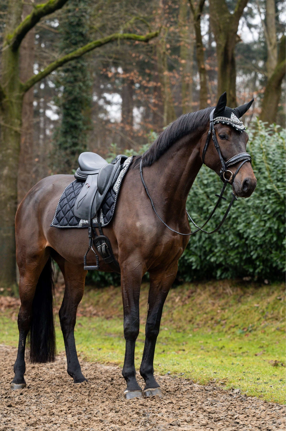 Showtime Tapis de Selle Rio Dressage Noir