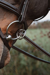 Dyon Rênes 1/2 7 Stops Fermeture par anneau Marron