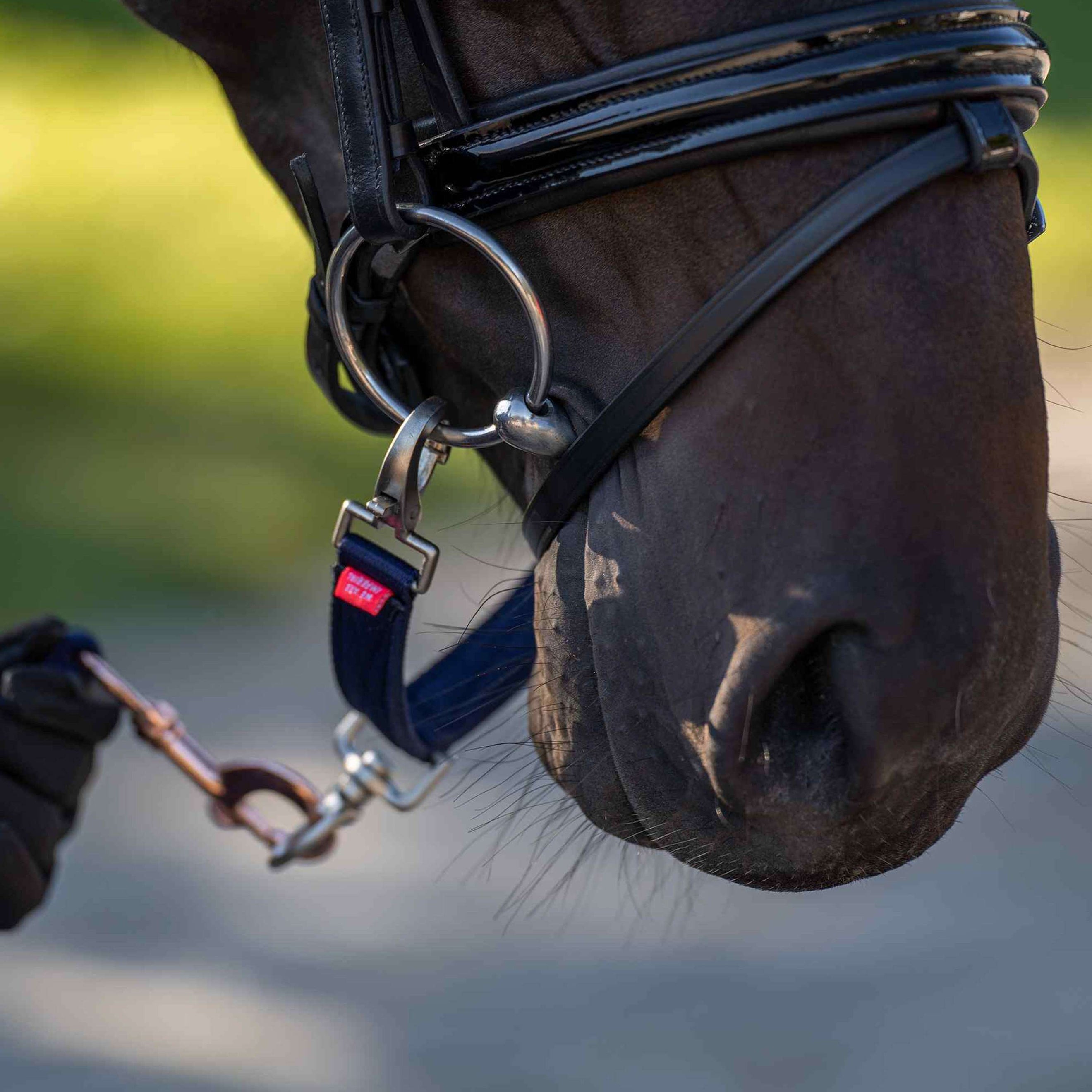 Imperial Riding Alliance de Mors pour la Longe IRH Marin Imperial Riding Alliance de Mors pour la Longe IRH Marin