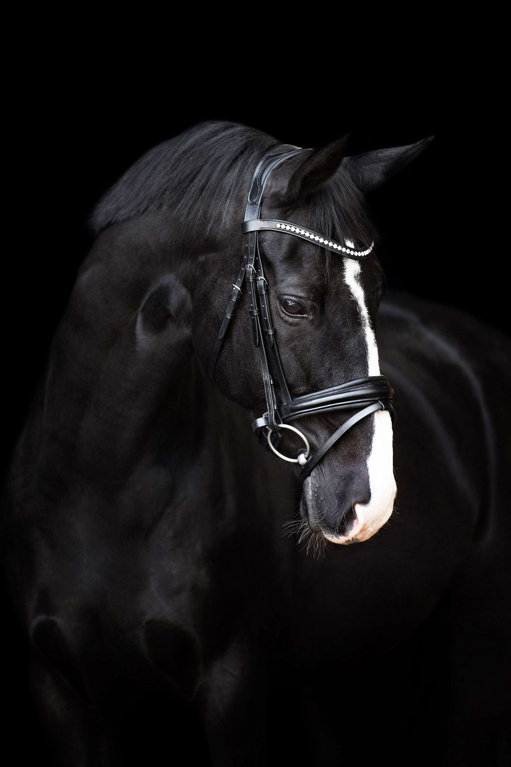 Imperial Riding Bride IRHFria Trens Noir