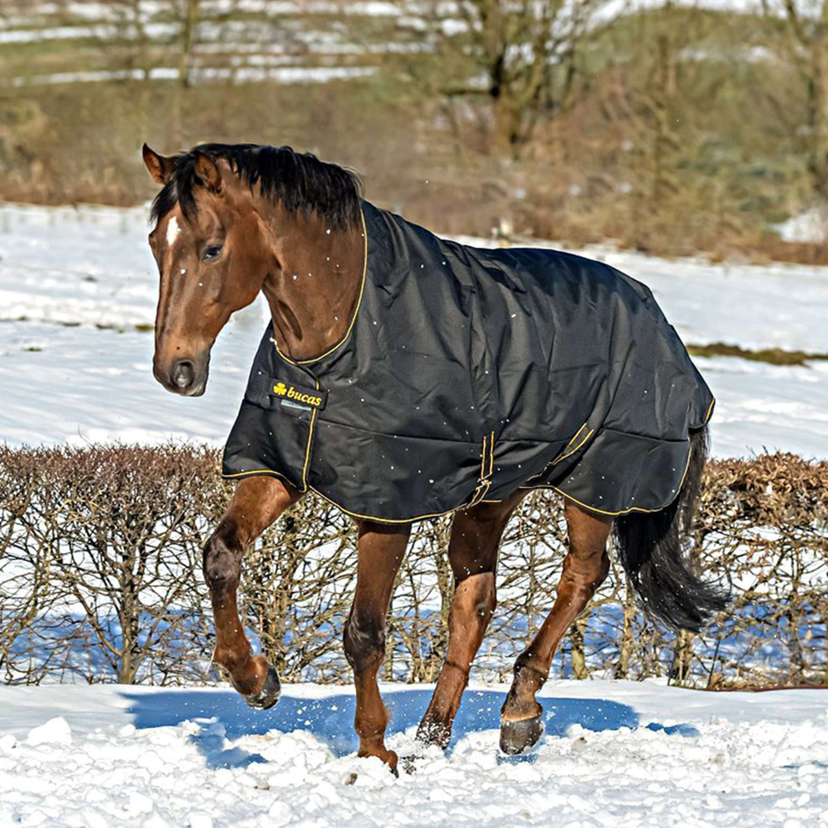 Bandes de polo Equestrian Stockholm - Deep Olivine Bandes de polo Equestrian Stockholm - Deep Olivine
