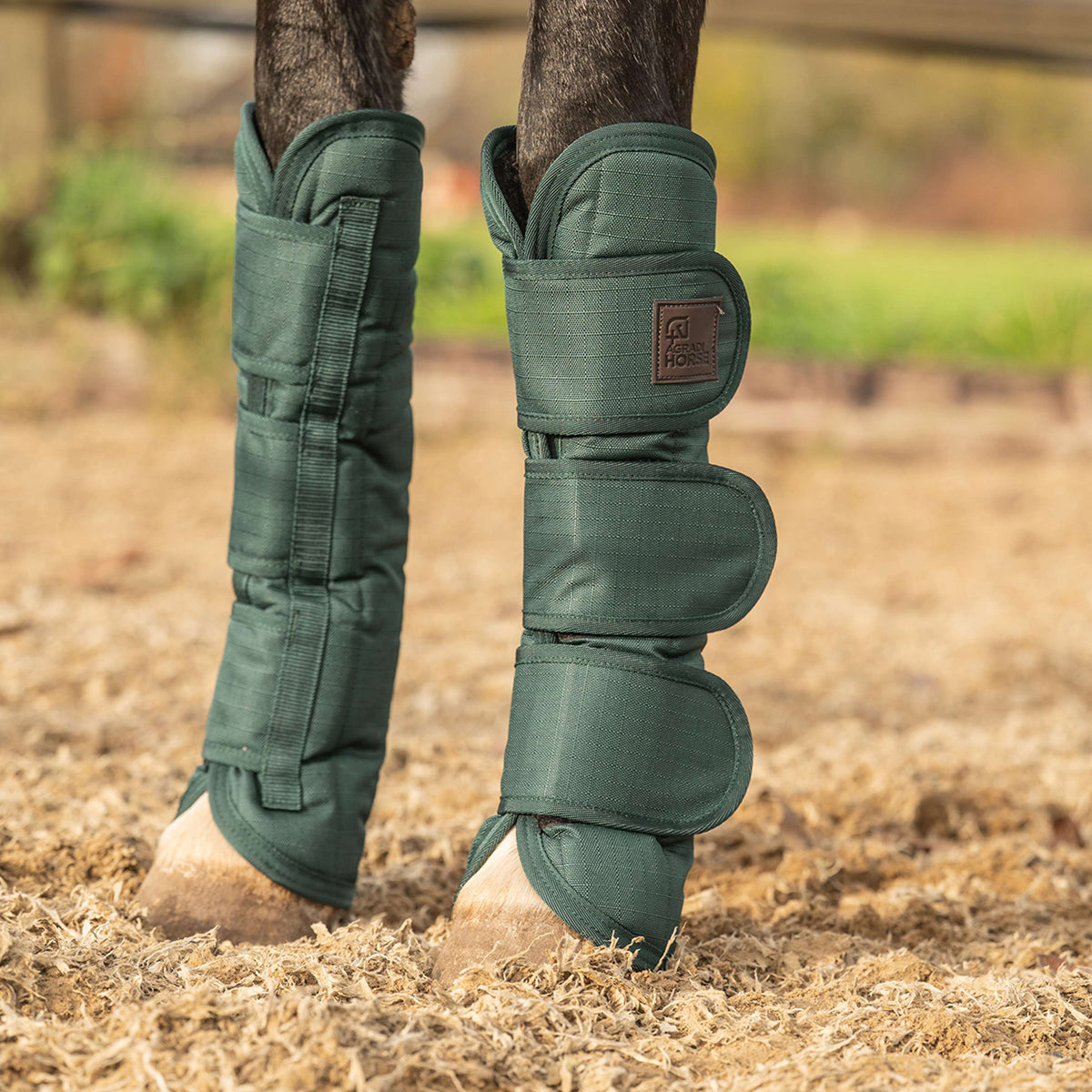 Agradi Horse Guêtres de Transport 1200D Vert