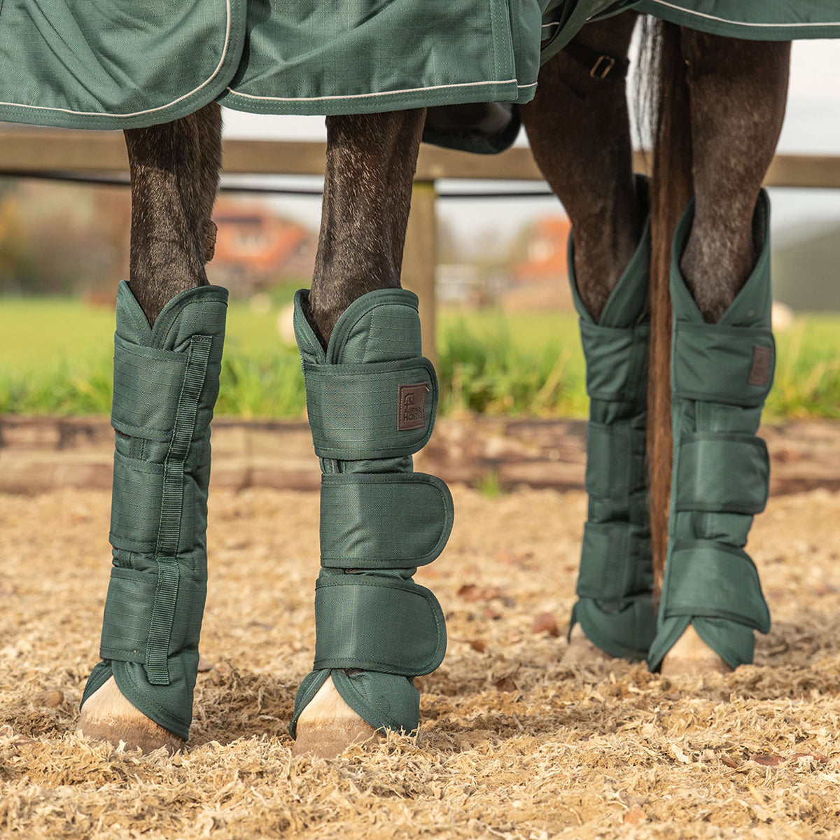 Agradi Horse Guêtres de Transport 1200D Vert