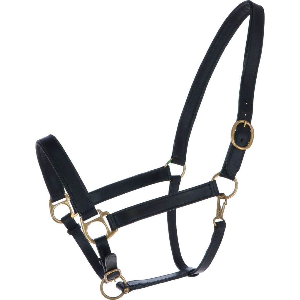 Covalliero Licol Robuste Cuir Noir