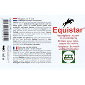 Stassek Equistar Recharge