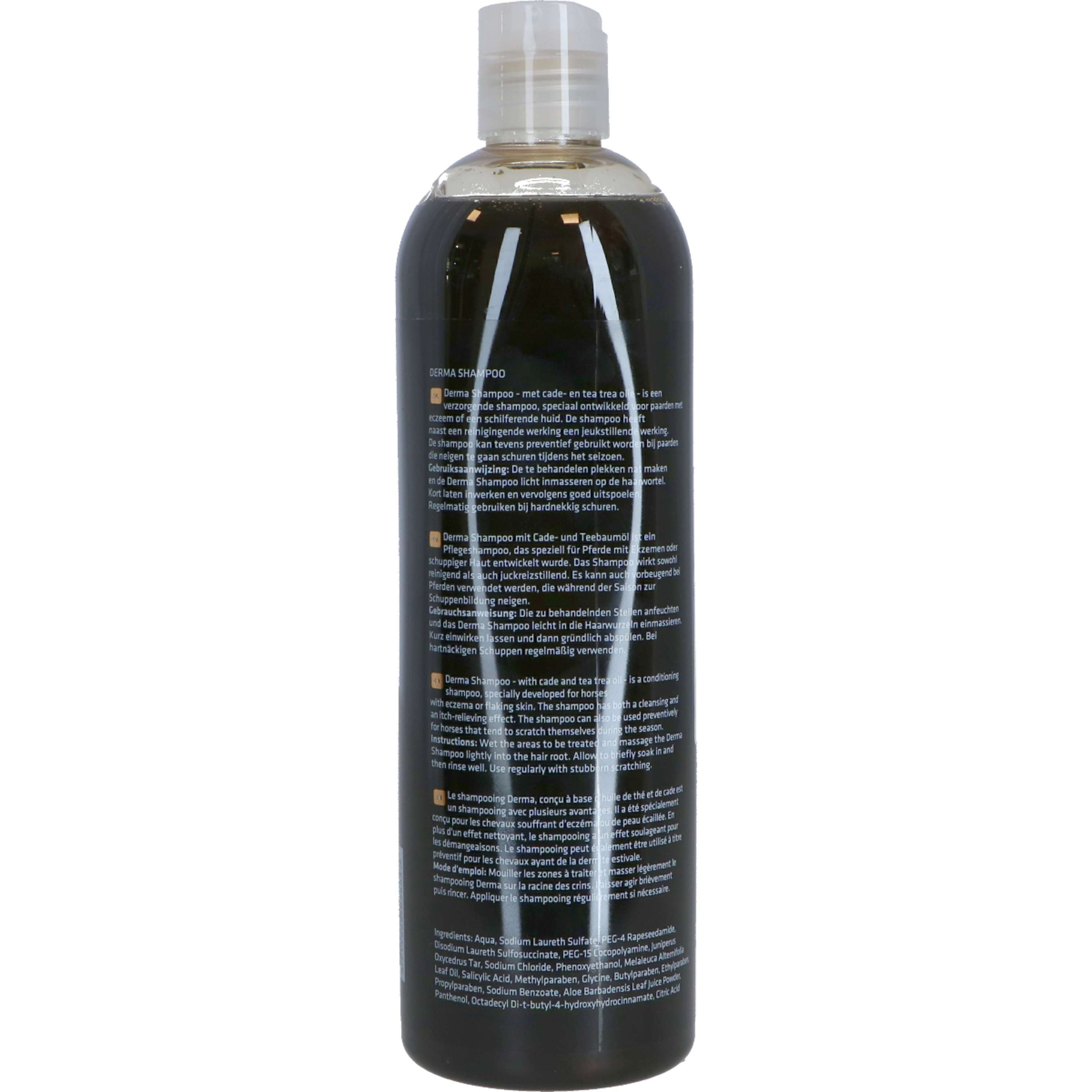 Rapide Shampooing Derma Rapide Shampooing Derma