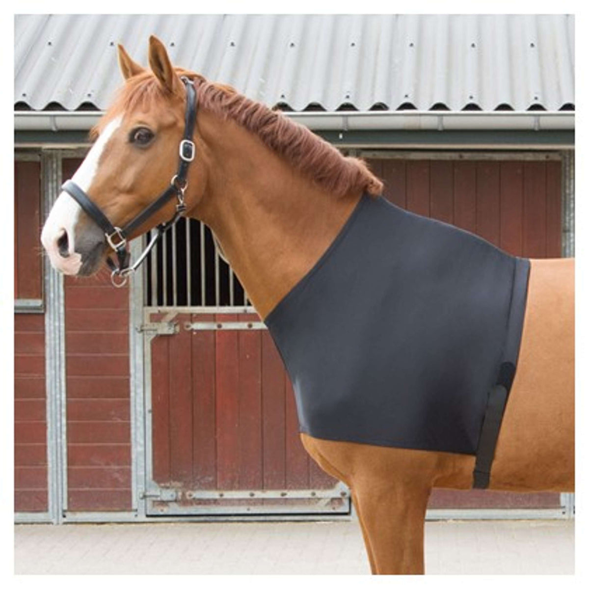 Harry's Horse Protection de Poitrail Lycra Noir