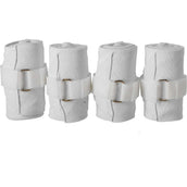 Harry's Horse Bandages Élastique Blanc